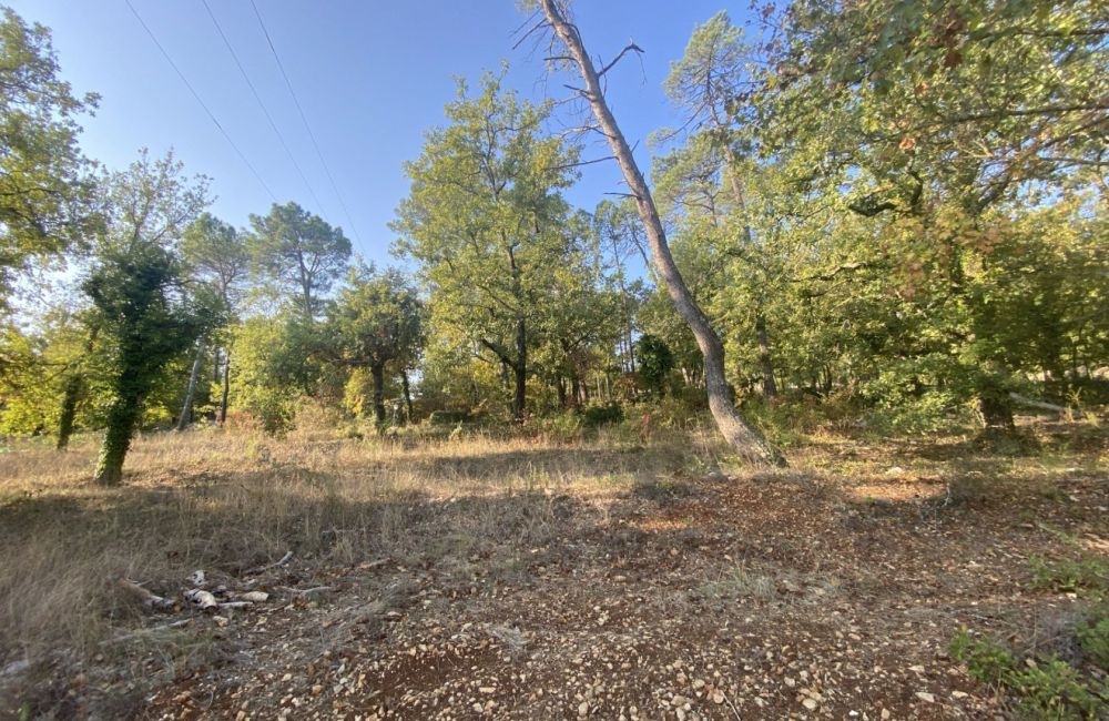 Vente terrain + maison CALLIAN Var