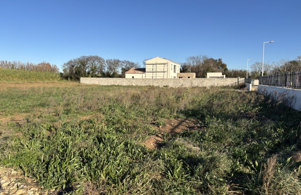 Vente terrain + maison SAINT-MARTIN-DE-CRAU Bouches-du-Rhône