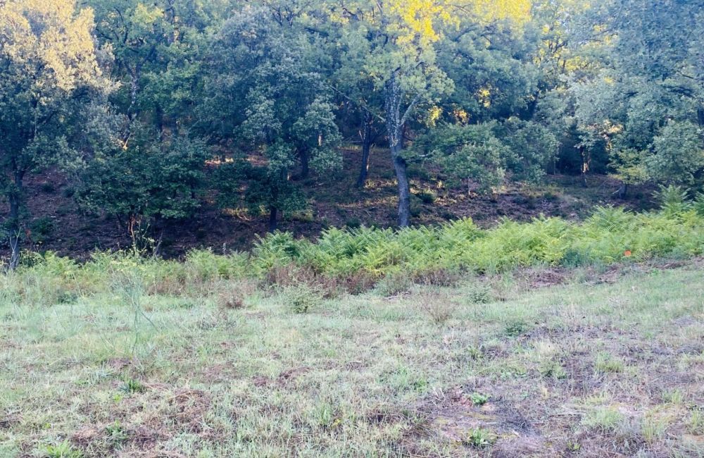 Vente terrain + maison TARADEAU Var