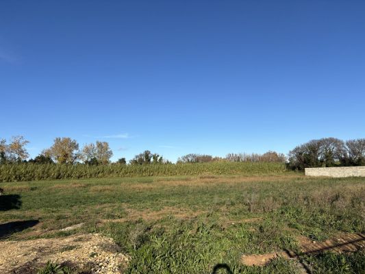 Vente terrain SAINT-MARTIN-DE-CRAU Bouches-du-Rhône