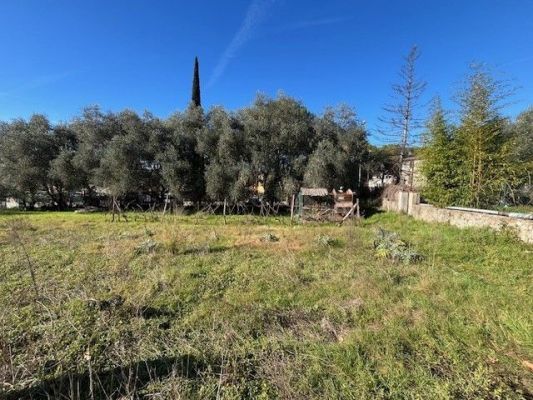 Vente terrain GRASSE Alpes-Maritimes