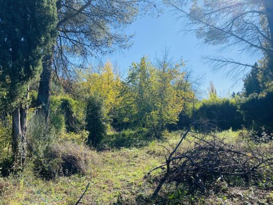 Vente terrain TOURVES Var