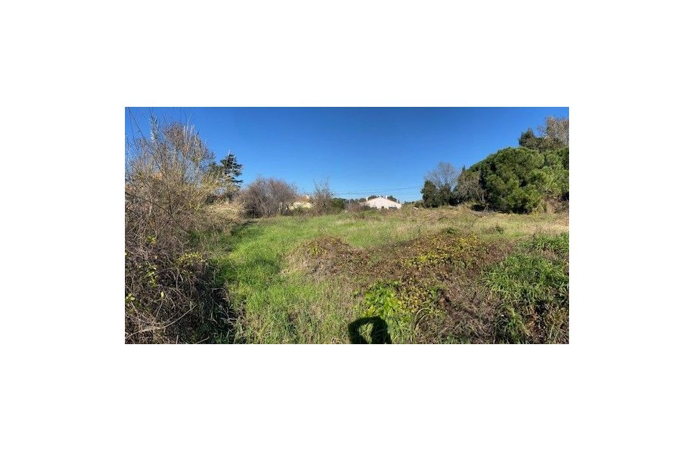 Vente terrain CANNES Alpes-Maritimes