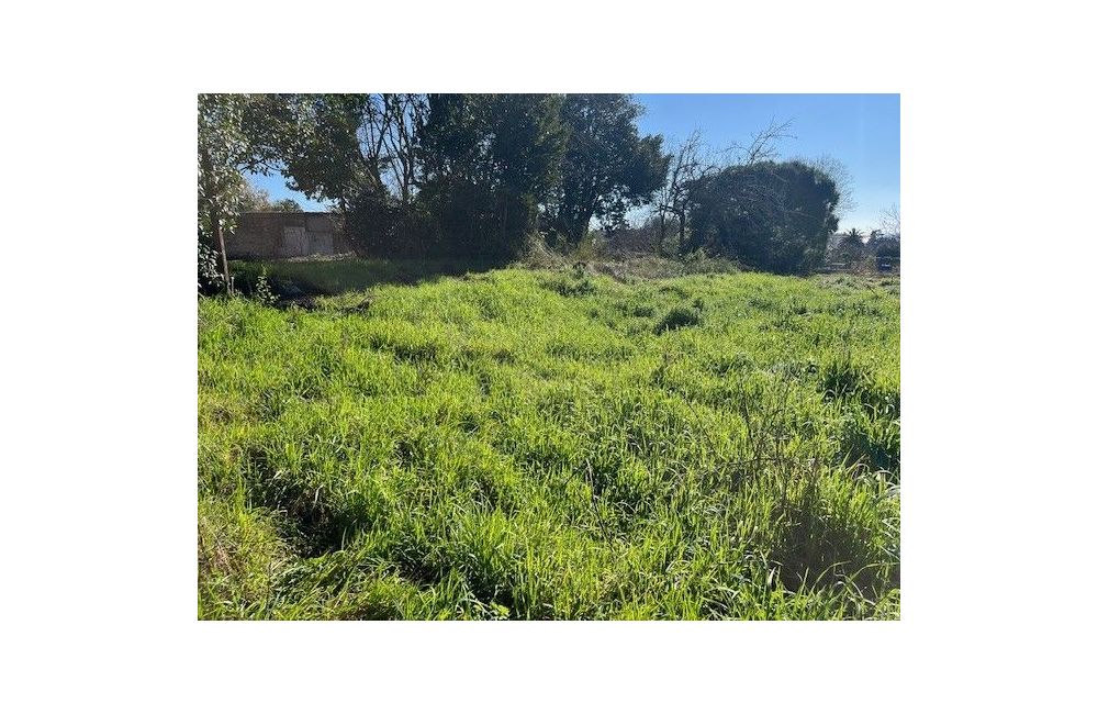 Vente terrain CANNES Alpes-Maritimes