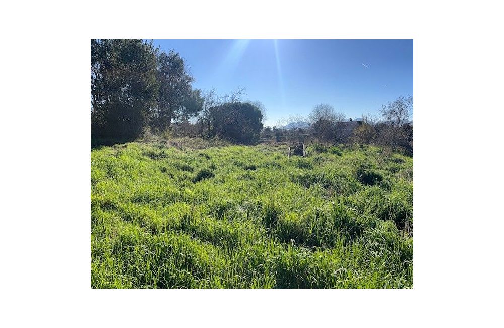 Vente terrain CANNES Alpes-Maritimes