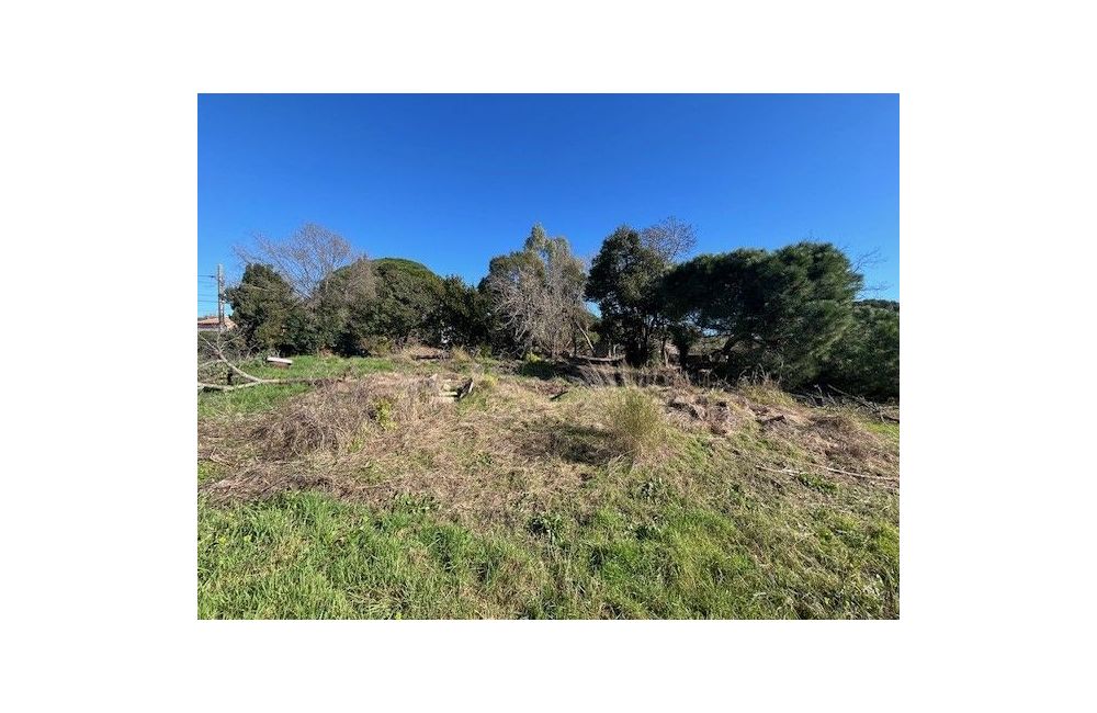 Vente terrain CANNES Alpes-Maritimes