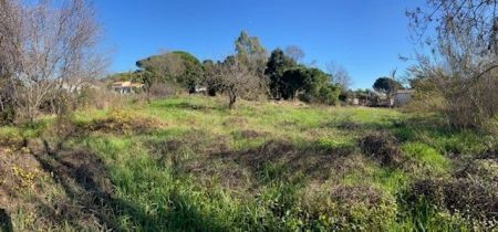 Vente terrain CANNES Alpes-Maritimes