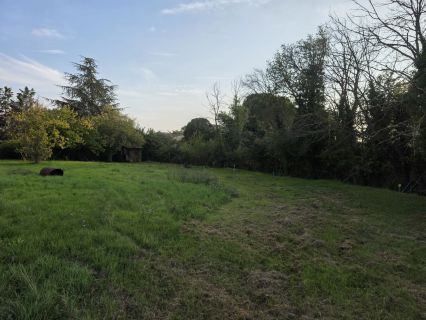 Vente terrain VENELLES Bouches-du-Rhône