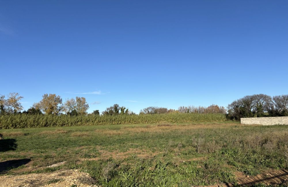 Vente terrain + maison SAINT-MARTIN-DE-CRAU Bouches-du-Rhône