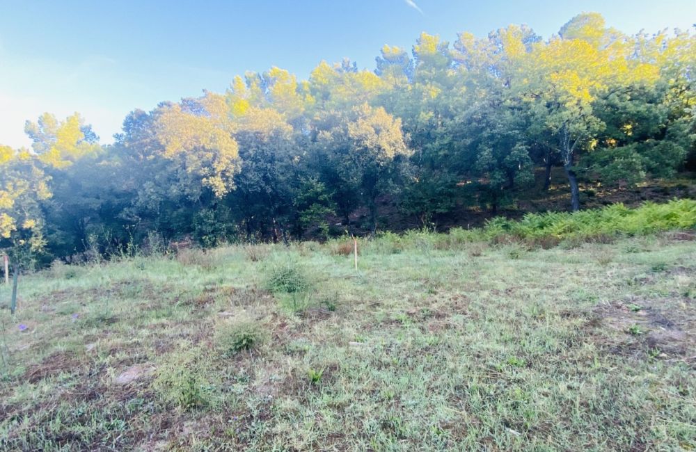 Vente terrain + maison TARADEAU Var