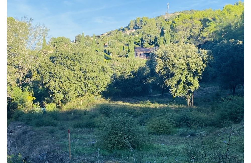 Vente terrain + maison TARADEAU Var