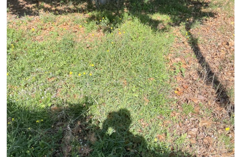 Vente terrain + maison MARTIGUES Bouches-du-Rhône