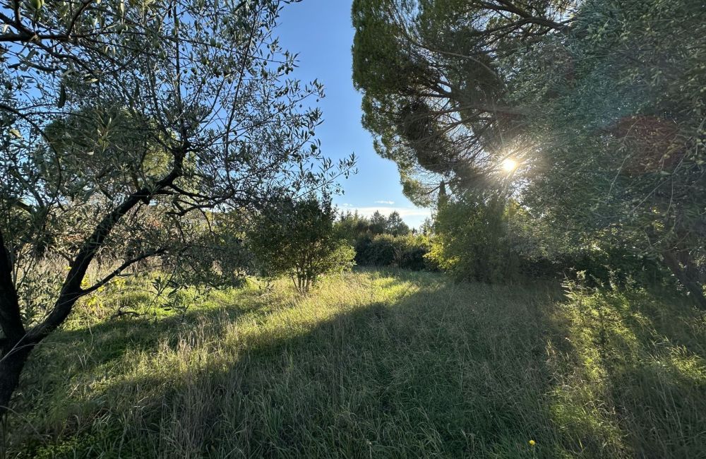 Vente terrain EGUILLES Bouches-du-Rhône