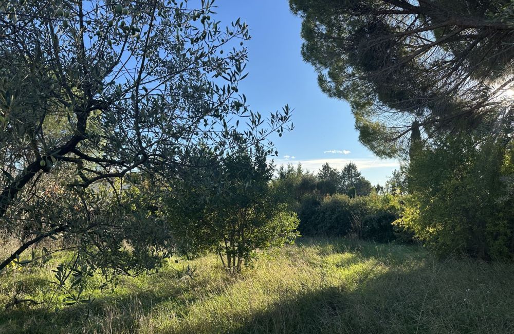 Vente terrain EGUILLES Bouches-du-Rhône