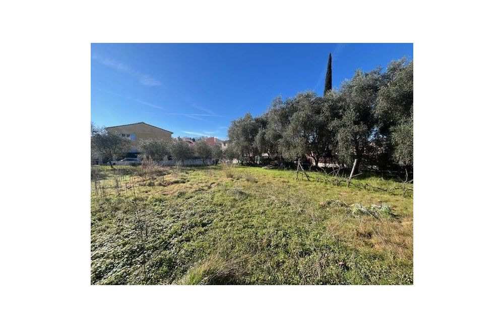 Vente terrain GRASSE Alpes-Maritimes