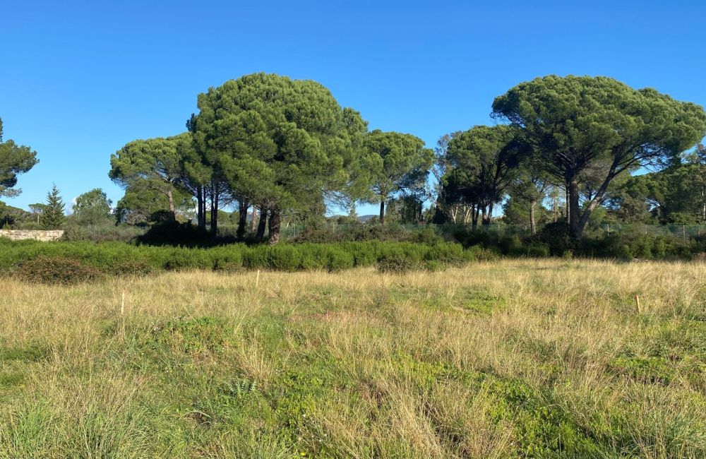 Vente terrain + maison PUGET-SUR-ARGENS Var