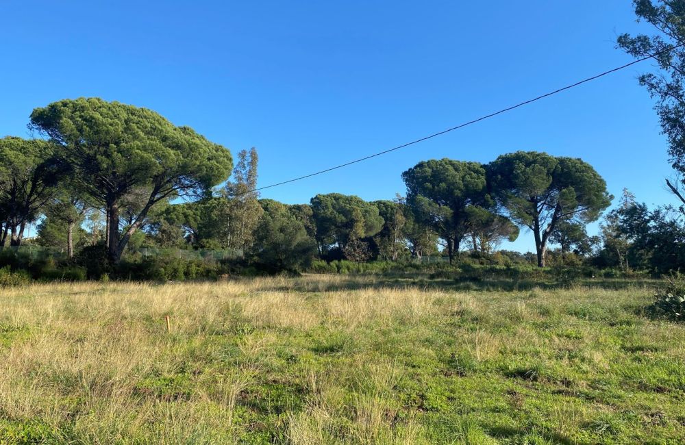 Vente terrain + maison PUGET-SUR-ARGENS Var