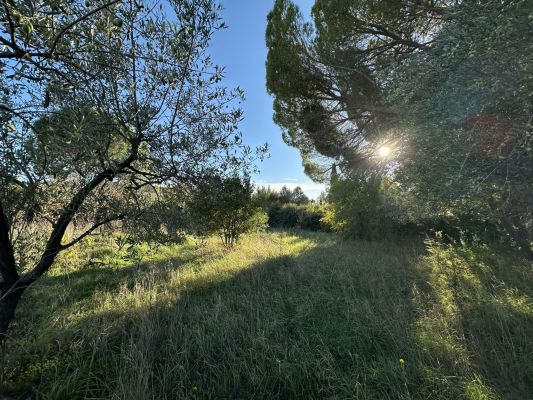Vente terrain EGUILLES Bouches-du-Rhône