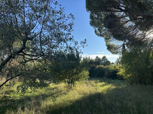 Vente terrain EGUILLES Bouches-du-Rhône