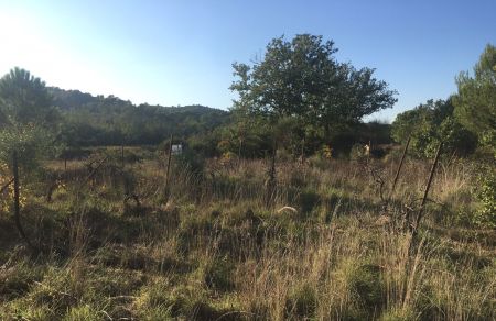 Vente terrain GAREOULT Var