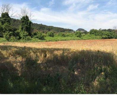 Vente terrain GARDANNE Bouches-du-Rhône