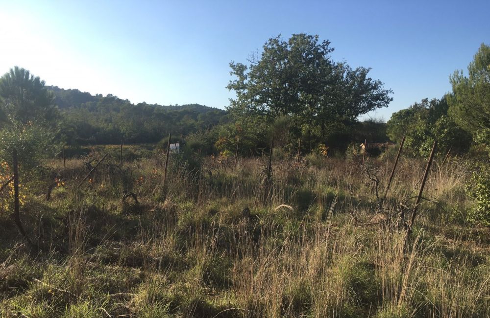Vente terrain GAREOULT Var
