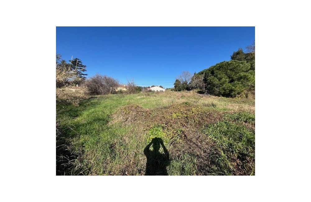 Vente terrain CANNES Alpes-Maritimes