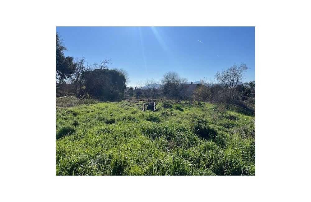 Vente terrain CANNES Alpes-Maritimes