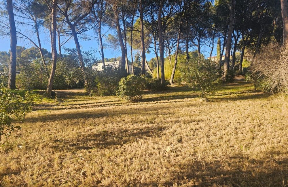 Vente terrain VENTABREN Bouches-du-Rhône