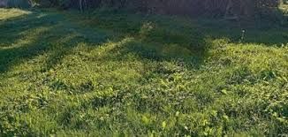 Vente terrain AUBAGNE Bouches-du-Rhône