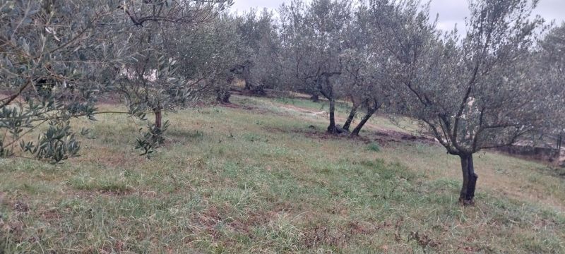 Vente terrain MANOSQUE Alpes-de-Haute-Provence