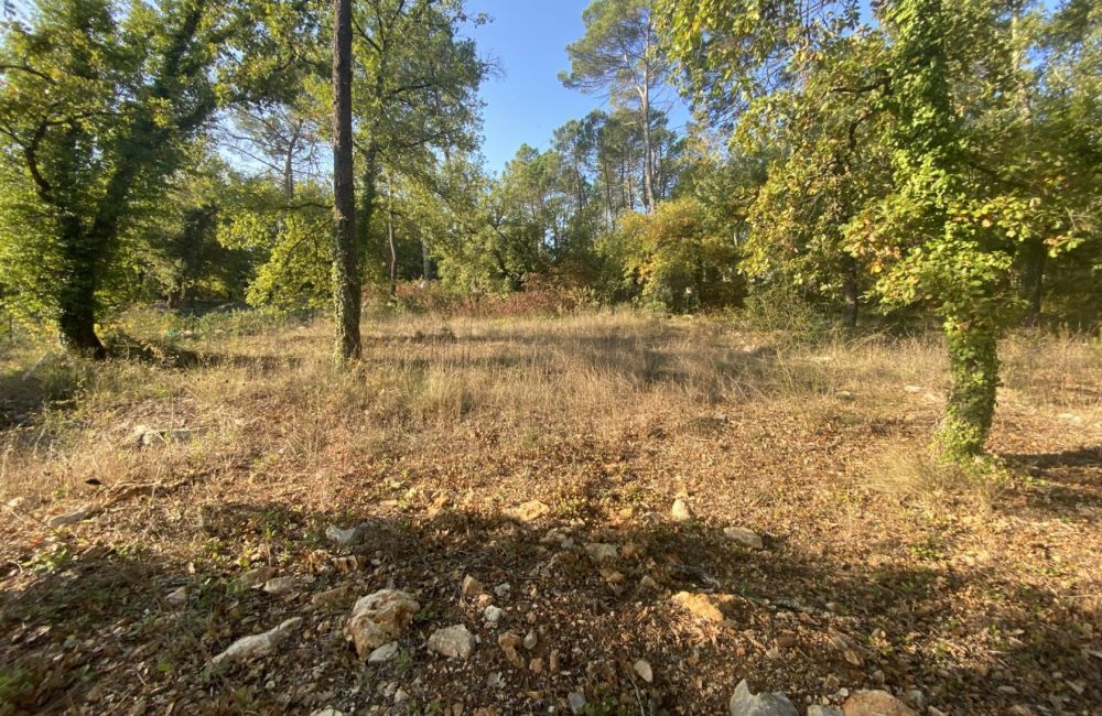 Vente terrain + maison CALLIAN Var