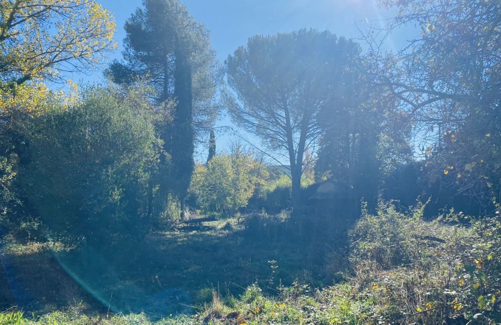 Vente terrain + maison TOURVES Var