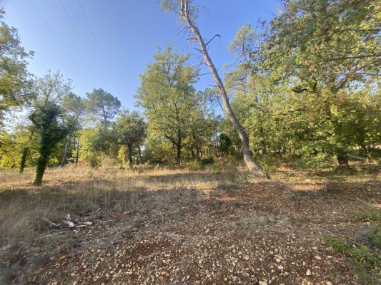 Vente terrain + maison CALLIAN Var