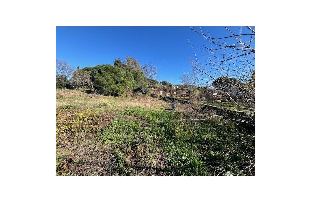 Vente terrain CANNES Alpes-Maritimes