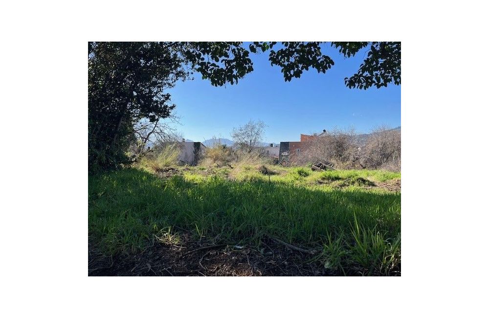 Vente terrain CANNES Alpes-Maritimes