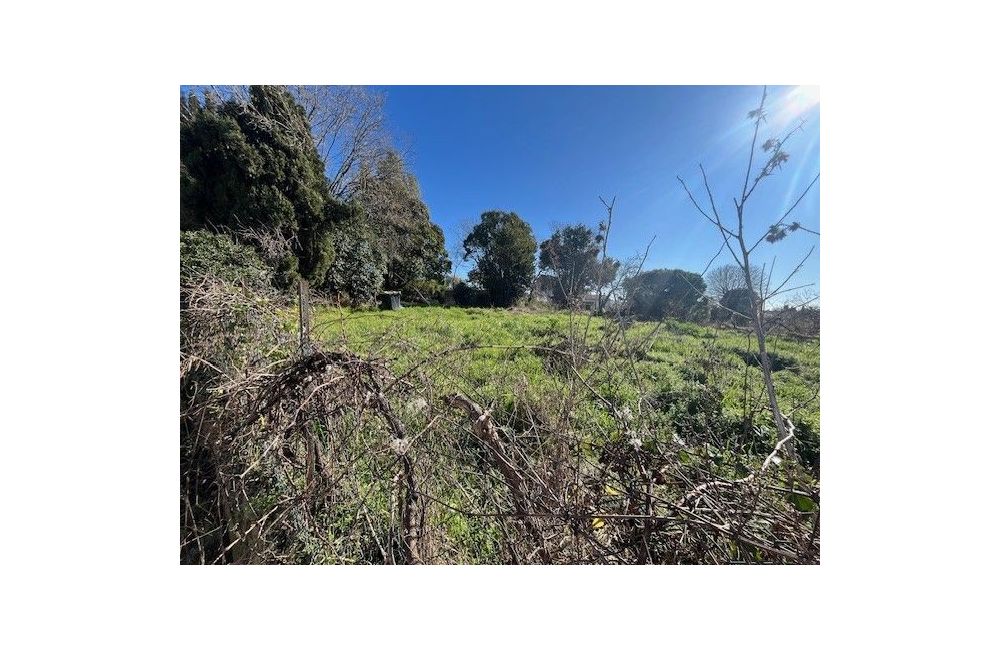 Vente terrain CANNES Alpes-Maritimes