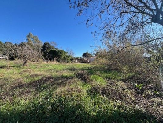 Vente terrain CANNES Alpes-Maritimes