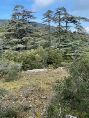 Vente terrain PLAN-D'AUPS-SAINTE-BAUME Var