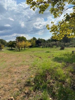 Vente terrain SAINT-CYR-SUR-MER Var