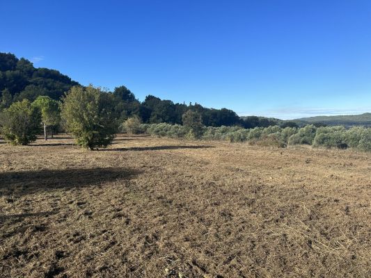 Vente terrain ROGNES Bouches-du-Rhône
