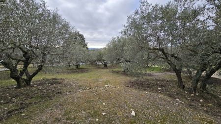 Vente terrain MANOSQUE Alpes-de-Haute-Provence