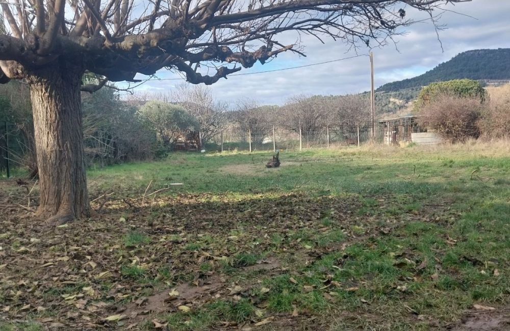 Vente terrain LES MEES Alpes-de-Haute-Provence