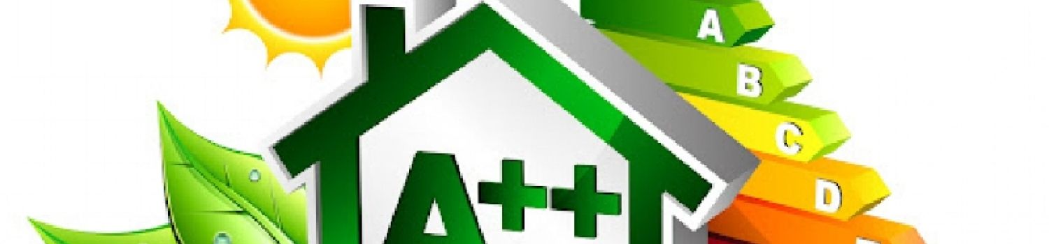 MAISONS &Eacute;CONOMIQUES EN &Eacute;NERGIE : DES MAISONS MOINS &Eacute;NERGIVORES