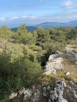 Vente terrain PLAN-D'AUPS-SAINTE-BAUME Var