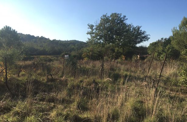 Vente terrain GAREOULT Var
