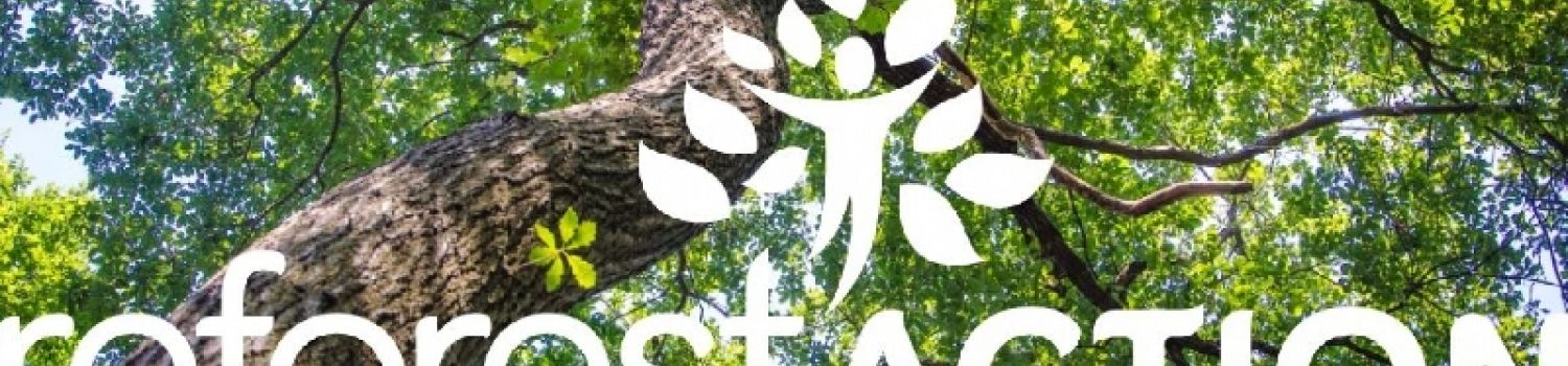 Villas Prisme s&rsquo;engage pour la plan&egrave;te