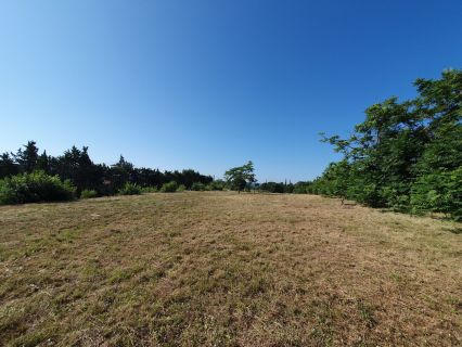 Vente terrain LA BRILLANNE Alpes-de-Haute-Provence