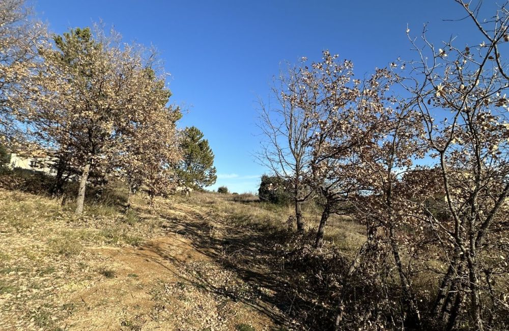 Vente terrain VILLENEUVE Alpes-de-Haute-Provence