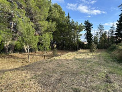Vente terrain PELISSANNE Bouches-du-Rhône